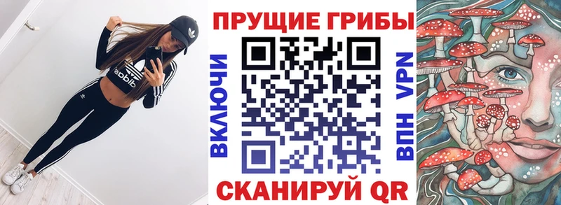 наркота  Болохово  Галлюциногенные грибы мицелий 
